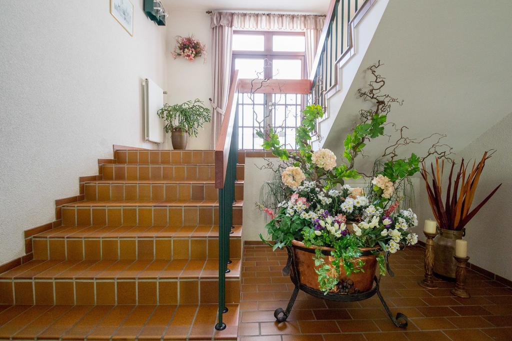 Hotel Am Lingelbach Knüllwald Dış mekan fotoğraf