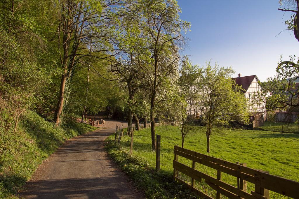Hotel Am Lingelbach Knüllwald Dış mekan fotoğraf